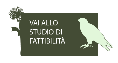 Vai allo studio di fattibilità