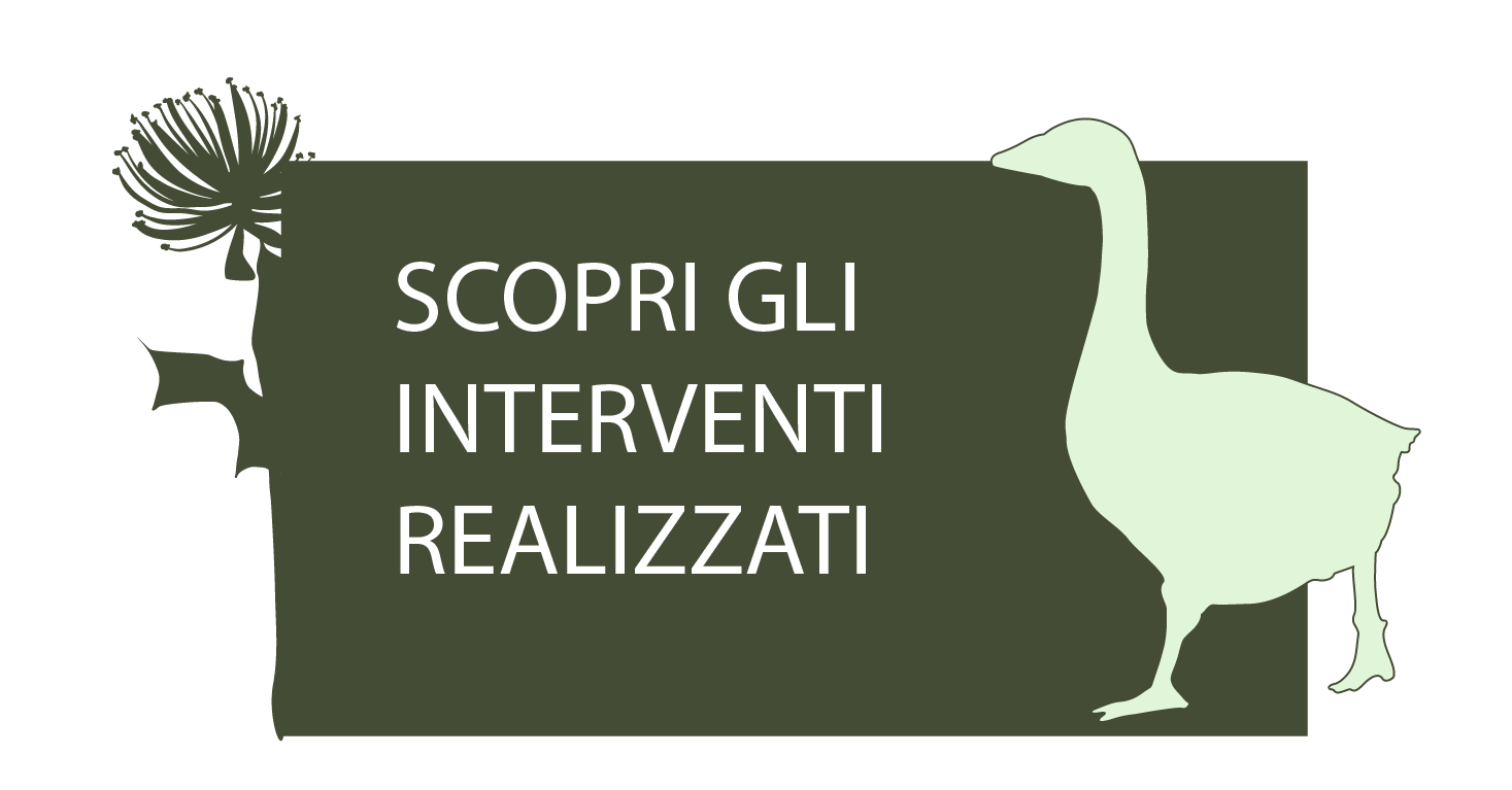 Scopri gli interventi in corso