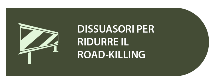 Dissuasori per ridurre il road-killing